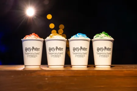 Harry Potter Forbidden Forest - Brisbane