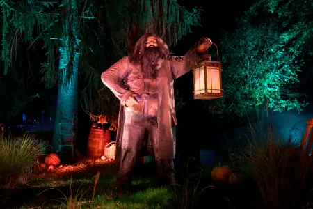 Harry Potter Forbidden Forest - Brisbane