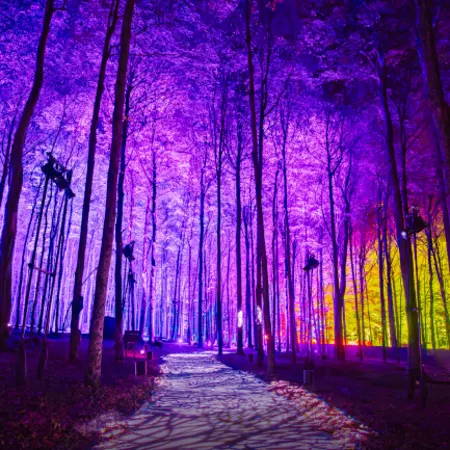 Harry Potter Forbidden Forest - Brisbane