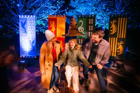 Harry Potter Forbidden Forest - Cincinnati