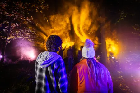 Harry Potter Forbidden Forest - Cincinnati