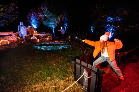 Harry Potter Forbidden Forest - Cincinnati