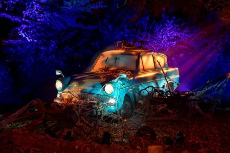 Harry Potter Forbidden Forest - Brisbane