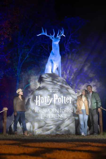 Harry Potter Forbidden Forest - Brisbane