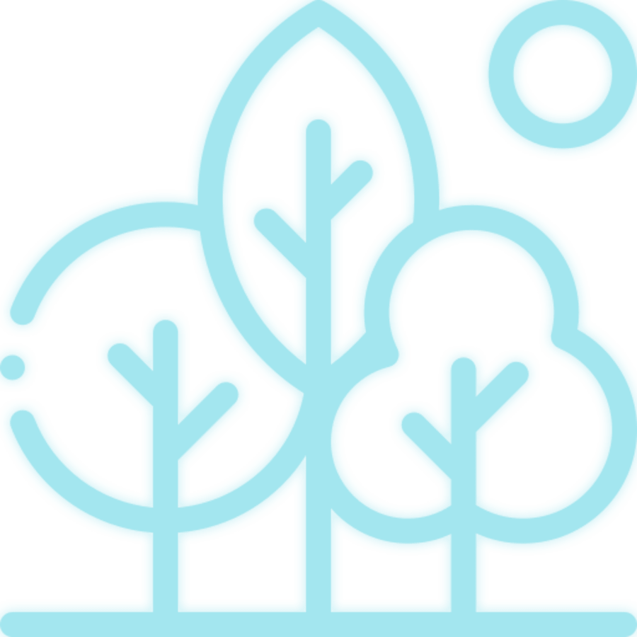 trees planted