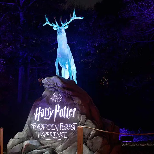 Harry Potter: A Forbidden Forest Experience