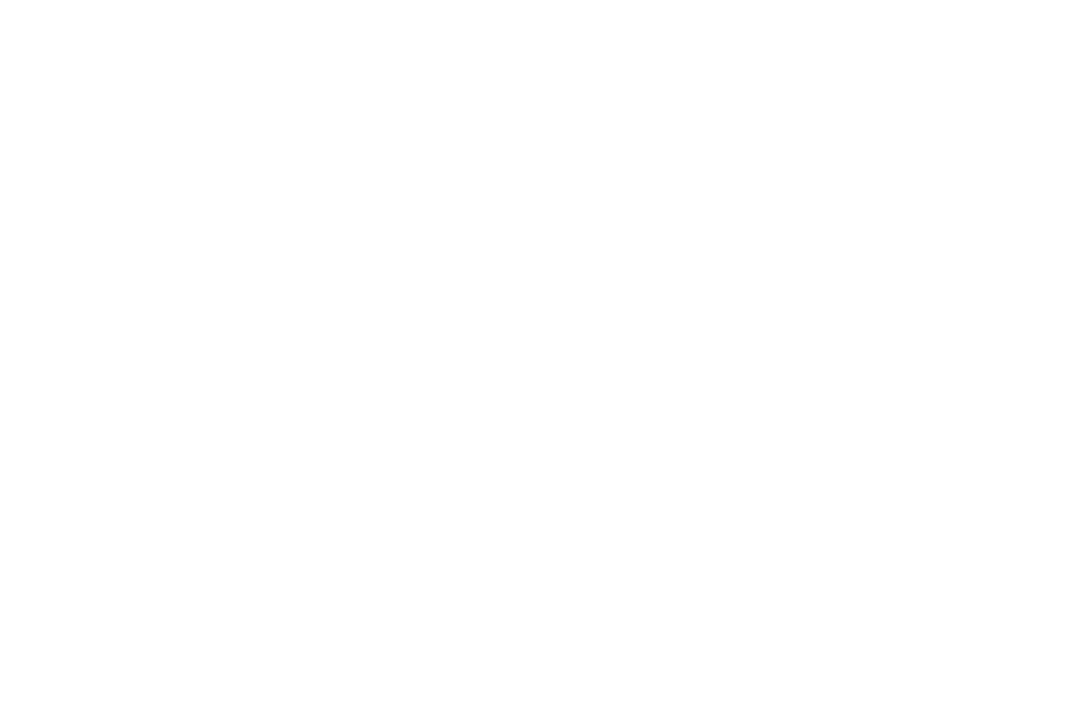 Harry Potter: A Forbidden Forest Experience in Leesburg