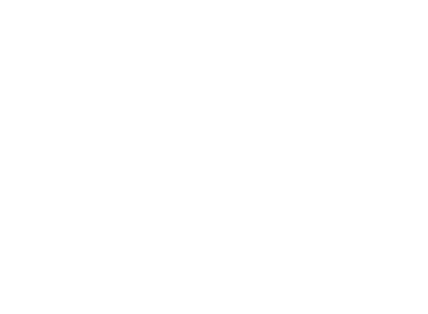 Harry Potter : A Forbidden Forest Experience Bruxelles (Leeuw-Saint-Pierre)